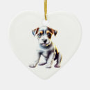 Search for parsonalize Pet