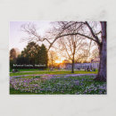 Search for botanical postcards Garden