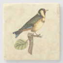 Search for bird coasters Branch