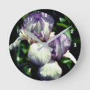 Search for white iris posters Botanical