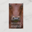 Search for steer business cards Ranch