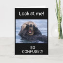 Search for funny otter birthday cards Photography