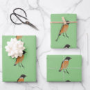 Search for songbird wrapping paper Birds