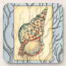 Search for translucent barware Nature