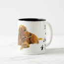 Search for life is golden mugs Cute