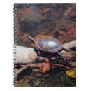 Search for turtle notebooks Nature