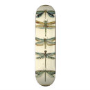 Search for insect skateboards Animals