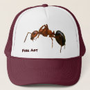 Search for ant hats Wildlife