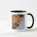 Search for northumberland mugs Nature