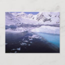 Search for antarctic postcards Frozen