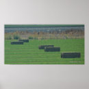 Search for bale art Photography