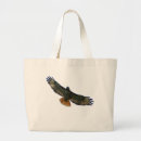 Search for red tails bags Wildlife