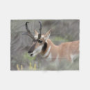 Search for danita delimont blankets Doe