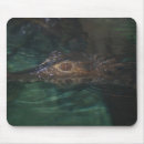 Search for croc mouse mats Animal