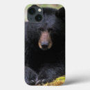 Search for public land electronics Washington state