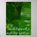 Search for balance of nature posters Growth