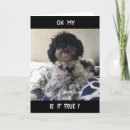 Search for great employee cards Boss