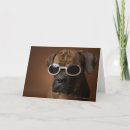 Search for wearing sunglasses cards Animal
