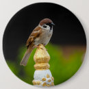 Search for sparrow badges Tree