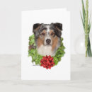 Search for australian shepherd cards Herding