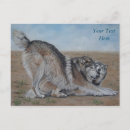 Search for wolves postcards Wolf
