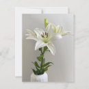 Search for white lily postcards Floral