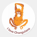 Search for ape stickers Orangutan