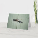 Search for locks cards Photography