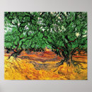 Search for olive tree posters Orchard