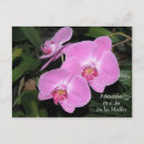 Search for felicidades postcards Spanish