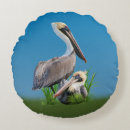 Search for pelican cushions Waterfowl