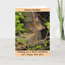 Search for possum christmas cards Marsupial