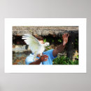 Search for cockatoo posters Pet