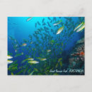 Search for sea fish postcards Tropical