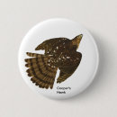 Search for hawk accessories Audubon