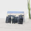 Search for bovines cards Country
