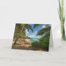 Search for cove cards Coconut palm tree