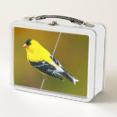 Search for american lunch boxes Yellow
