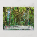 Search for rainforest postcards National park