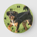 Search for rascals posters Cute