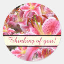 Search for floral thinking of you stickers Lilies