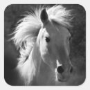 Search for small horse stickers Animal