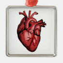 Search for anatomical heart decor Medical