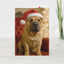 Search for shar pei christmas cards Dog