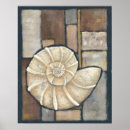 Search for conchs posters Chariklia zarris