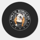 Search for yellow paws stickers Husky