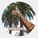 Search for funny giraffes stickers Nature