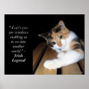 Search for cat window posters Feline