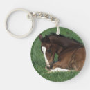 Search for lying down key rings Equestrian