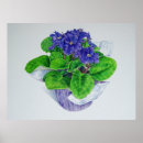 Search for african violets posters Purple
